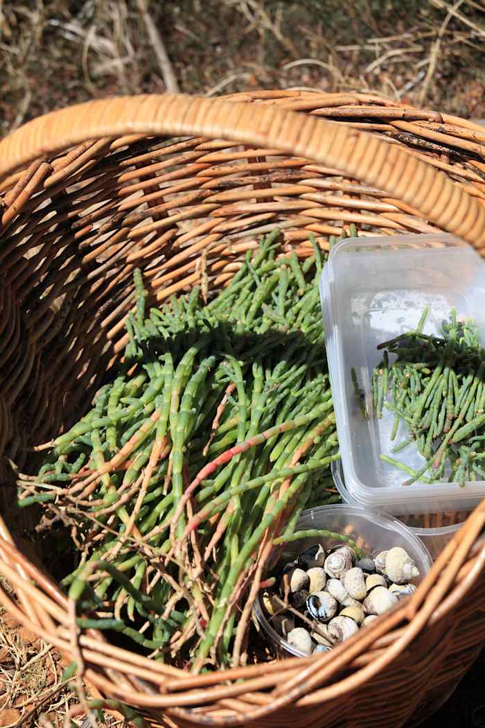 FieldToFeast072 - GALLERY.jpg